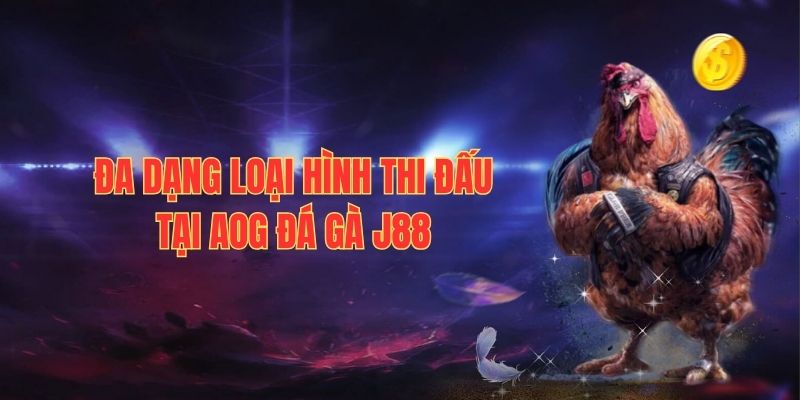 Đa dạng loại hình chọi kê hot của AOG đá gà