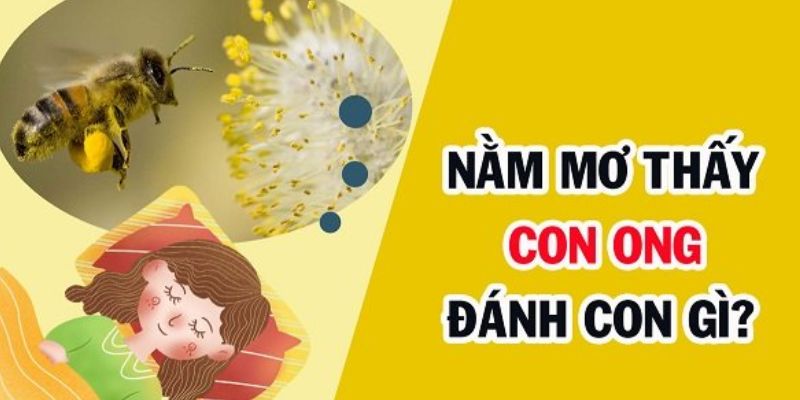 Mơ thấy ong và gợi ý con số may mắn liên quan